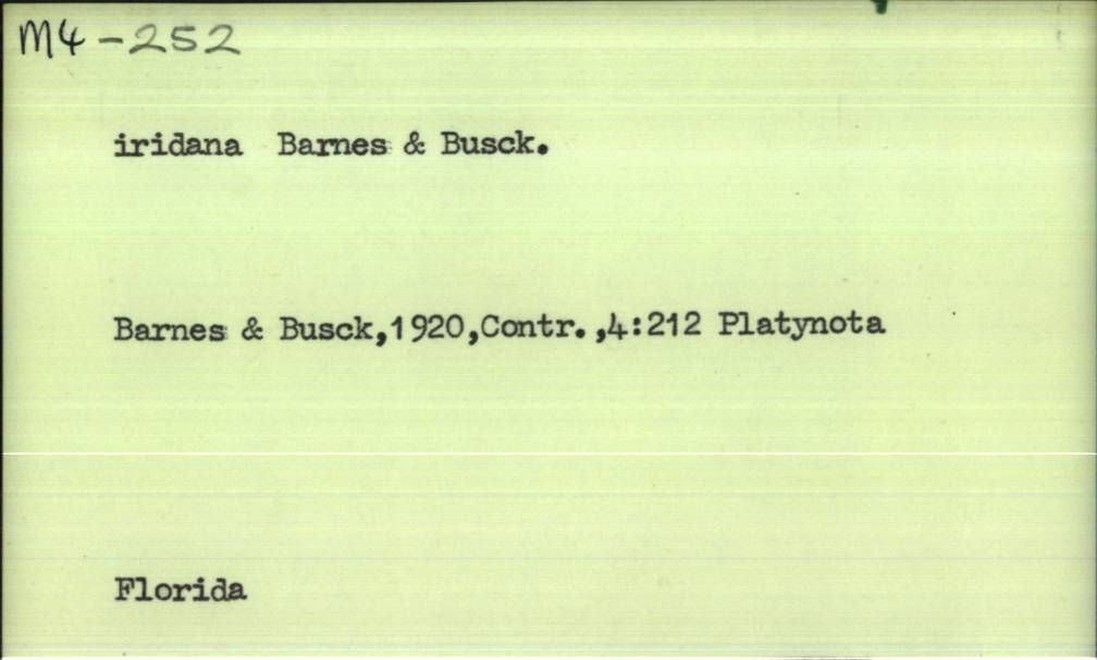 front of card